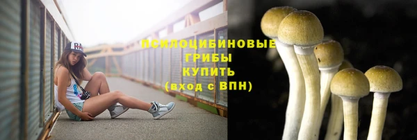 jwh Зеленодольск