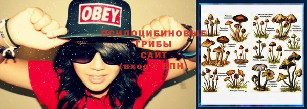 соль курить ск Инта